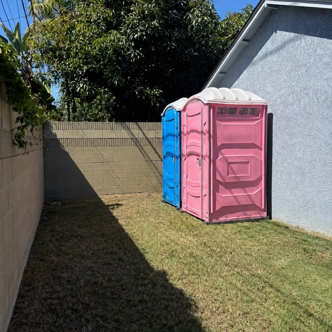 Pink and blue porta potties placed beside a house in a grassy side yard